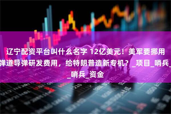 辽宁配资平台叫什么名字 12亿美元！美军要挪用洲际弹道导弹研发费用，给特朗普造新专机？_项目_哨兵_资金
