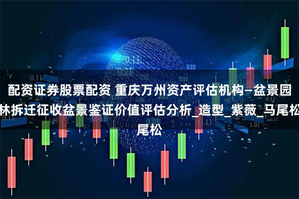 配资证券股票配资 重庆万州资产评估机构—盆景园林拆迁征收盆景鉴证价值评估分析_造型_紫薇_马尾松
